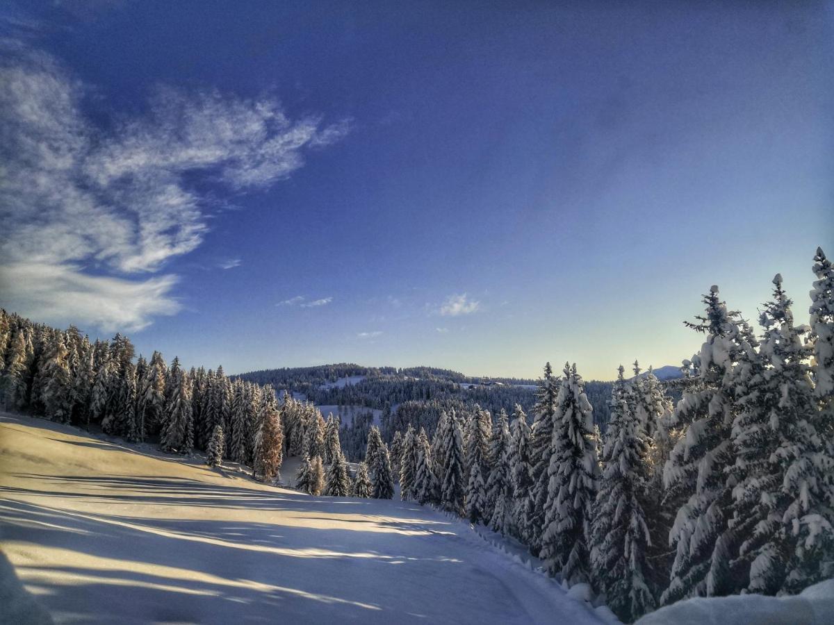 Oberhauser Huette Rodenecker - Luesner Alm Лузон Экстерьер фото